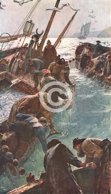 'How We Caught the Pilchards', 1895, (c1902). Creator: Unknown.