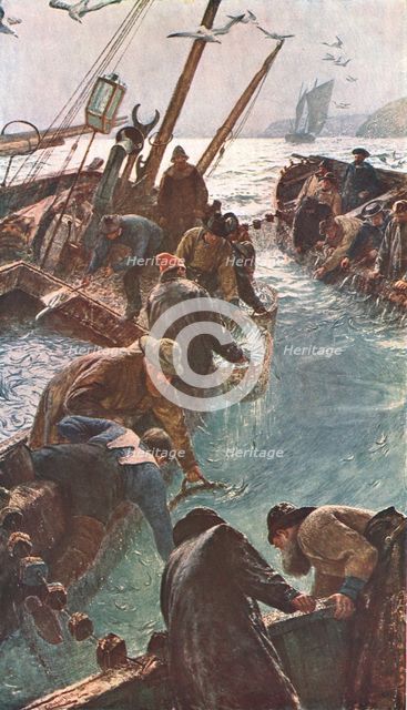 'How We Caught the Pilchards', 1895, (c1902). Creator: Unknown.