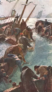 How We Caught the Pilchards 1895, (c1902). Creator: Unknown