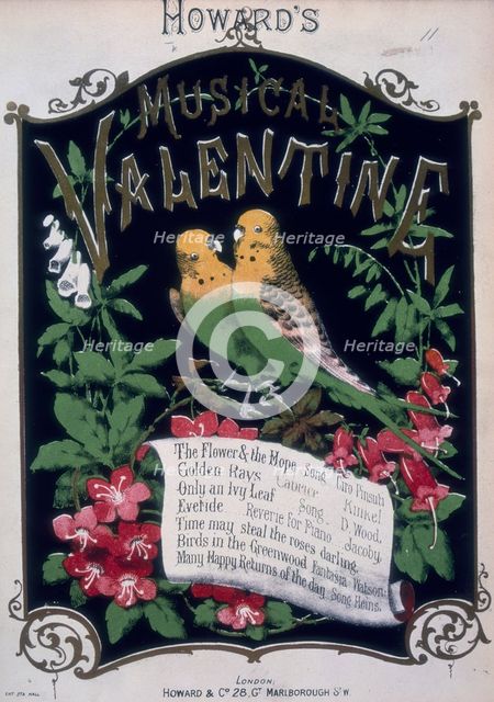 'Howard's Musical Valentine', 1876.  Creator: Unknown.