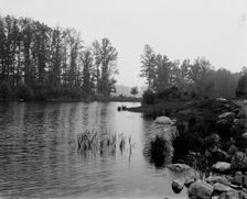 Howell's Lakes, N.J., upper lake, between 1900 and 1906. Creator: Unknown