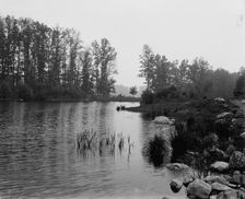 Howell's Lakes, N.J., upper lake, between 1900 and 1906. Creator: Unknown