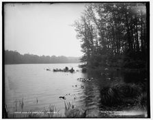 Howell's Lakes, N.J., lower lake, between 1890 and 1901. Creator: Unknown