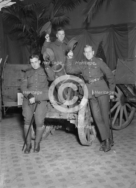 Howitzer at Hero Land, 1917. Creator: Bain News Service.
