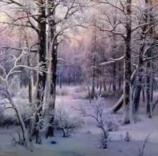 Hoarfrost 1906. Artist: Ivan Velz