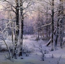 Hoarfrost 1906. Artist: Ivan Velz