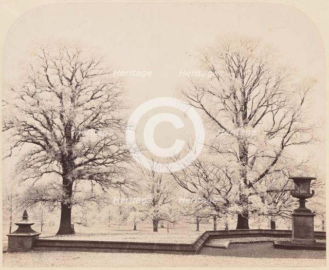 Hoarfrost, a Park Scene, 1862. Creator: James Sinclair, Earl of Caithness.