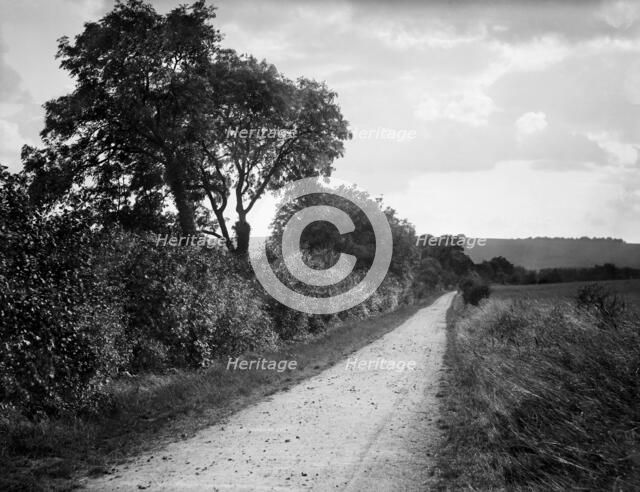 Hodcot Lane, West Ilsley, Berkshire, 1895. Artist: Henry Taunt.