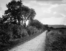 Hodcot Lane, West Ilsley, Berkshire, 1895. Artist: Henry Taunt