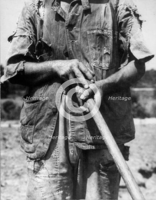 Hoe culture - Alabama tenant farmer near Anniston, 1936. Creator: Dorothea Lange.