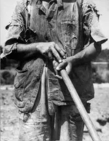 Hoe culture - Alabama tenant farmer near Anniston, 1936. Creator: Dorothea Lange