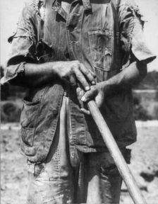 Hoe culture - Alabama tenant farmer near Anniston, 1936. Creator: Dorothea Lange