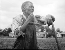 Hoe culture in the South, Negro farmhand, Near Birmingham, Alabama, 1936. Creator: Dorothea Lange