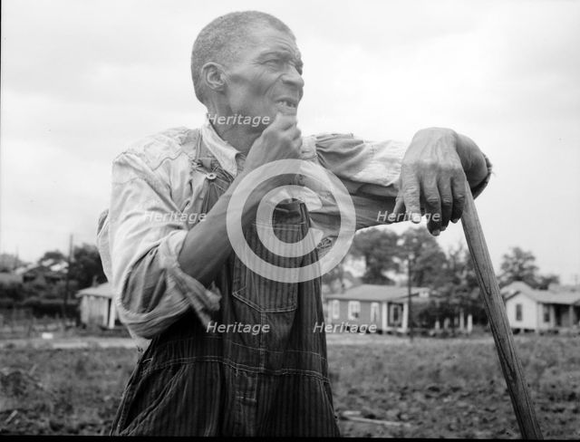 Hoe culture in the South, Negro farmhand, Near Birmingham, Alabama, 1936. Creator: Dorothea Lange.