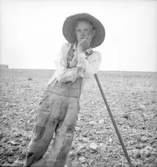 Hoe culture in the South - poor white, North Carolina, 1936. Creator: Dorothea Lange