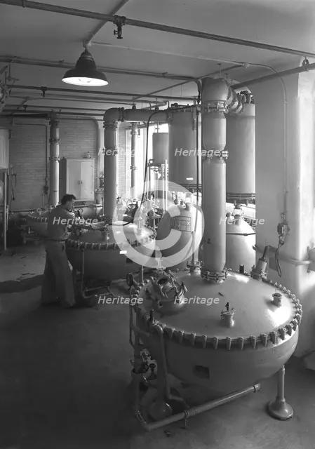 Hoffmann-LaRoche Inc., Nutley, New Jersey, 1943. Creator: Gottscho-Schleisner, Inc.
