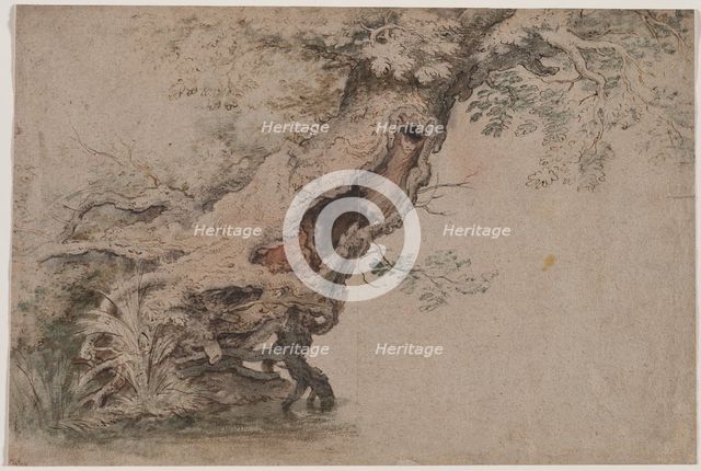 Hollow Tree, after Roelant Savery, after 1670. Creator: Lambert Doomer (Dutch, 1623-1700).