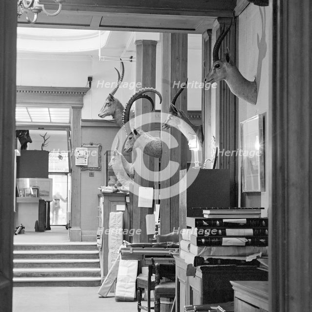 Holland and Holland, gunmakers, 13 Bruton Street, Mayfair, London, June 1980. Artist: John Gay