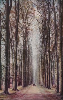 Holland c1930s. Artist: ENA