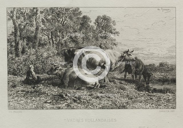 Holland Cows. Creator: Charles-Émile Jacque (French, 1813-1894).