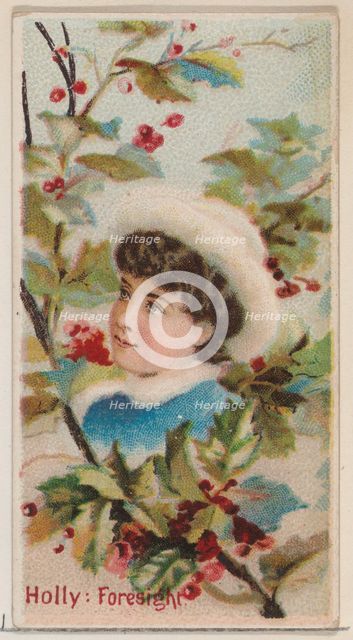 Holly: Foresight, from the series Floral Beauties and Language of Flowers (N75) for Duke b..., 1892. Creator: Donaldson Brothers.