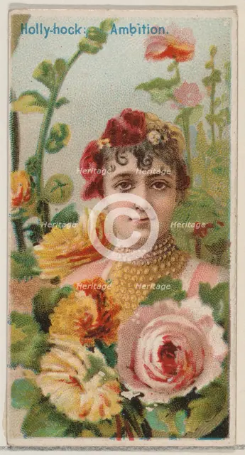 Hollyhock: Ambition, from the series Floral Beauties and Language of Flowers (N75) for Duk..., 1892. Creator: Donaldson Brothers.