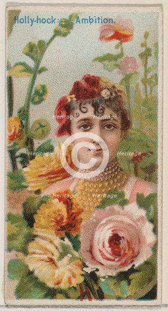 Hollyhock: Ambition, from the series Floral Beauties and Language of Flowers (N75) for Duk..., 1892. Creator: Donaldson Brothers.