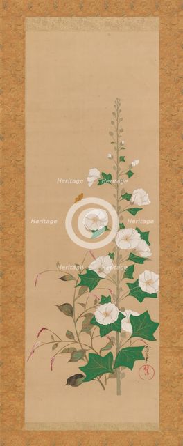 Hollyhocks and Prince’s-Feather Flowers, early 19th century. Creator: Sakai Oho.