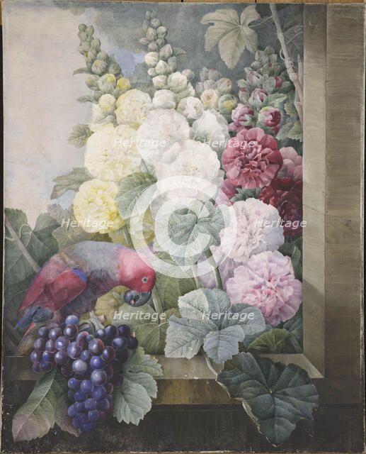 Hollyhocks, grapes and a parrot, 1836. Creator: Redouté, Pierre-Joseph (1759-1840).