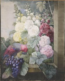 Hollyhocks, grapes and a parrot, 1836. Creator: Redouté, Pierre-Joseph (1759-1840)