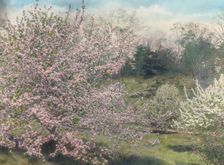 "Holm Lea," Charles Sprague Sargent house, Brookline, Massachusetts, c1914. Creator: Frances Benjamin Johnston