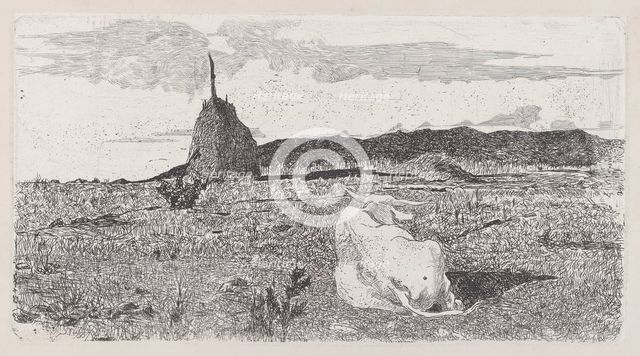 Holy Cow [Pio bove], 1888/1890. Creator: Giovanni Fattori.