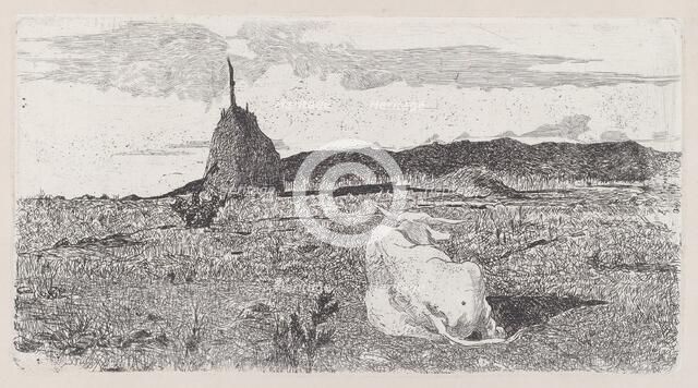 Holy Cow [Pio bove], 1888/1890. Creator: Giovanni Fattori.