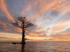 Holy Ground. Creator: Eve Turek