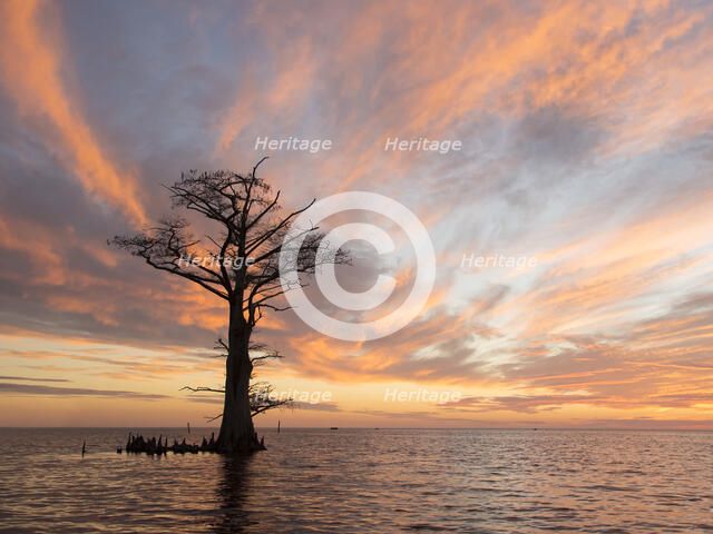 Holy Ground. Creator: Eve Turek.