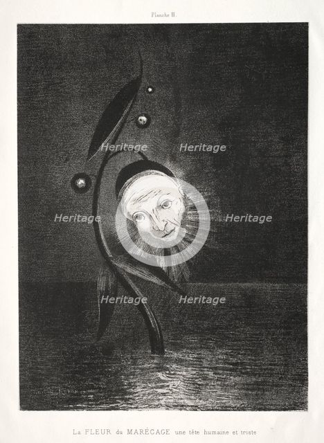 Homage to Goya: The Marsh Flower, a Sad Human Head, 1885. Creator: Odilon Redon (French, 1840-1916); Lemercier & Cie..