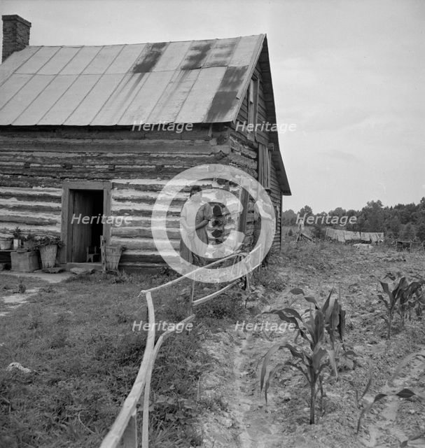 Home of tenant, Hillside Farm, Person County, North Carolina, 1939. Creator: Dorothea Lange.
