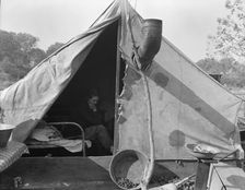 Home of Tennessee family of seven, now migratory workers..., outside of Sacramento, California, 1936 Creator: Dorothea Lange