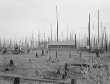 Home of the FSA borrower who moved on this land..., Priest River Peninsula, Idaho, 1939. Creator: Dorothea Lange