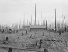 Home of the FSA borrower who moved on this land..., Priest River Peninsula, Idaho, 1939. Creator: Dorothea Lange