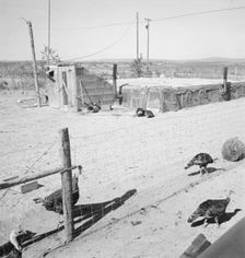 Home of the Williams family, Dead Ox Flat, Malheur County, Oregon, 1939. Creator: Dorothea Lange