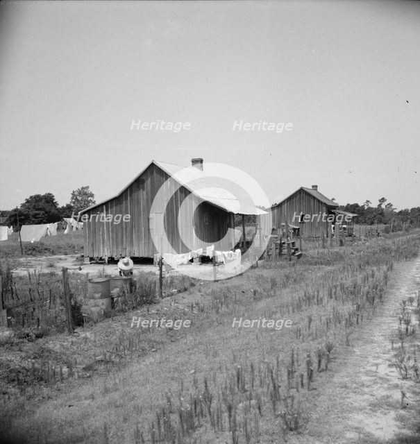 Home of turpentine workers near Godwinsville, Georgia, 1937. Creator: Dorothea Lange.