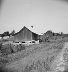 Home of turpentine workers near Godwinsville, Georgia, 1937. Creator: Dorothea Lange