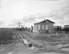 Home of a migrant worker's family, Kern County, California, 1936. Creator: Dorothea Lange
