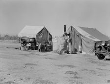 Home of a dust bowl refugee in California, Imperial County, California, 1937. Creator: Dorothea Lange