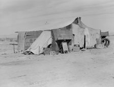 Home of a dust bowl refugee in California, Imperial County, California, 1937. Creator: Dorothea Lange