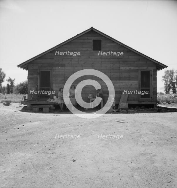 Home of family living in Sumac Park, shacktown community outside of Yakima, Washington, 1939. Creator: Dorothea Lange.