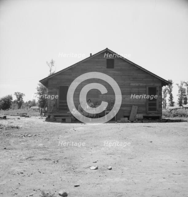 Home of family living in Sumac Park, shacktown community...Yakima, Washington, 1939. Creator: Dorothea Lange.