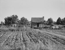Home of Mississippi tenant farmer, 1937. Creator: Dorothea Lange