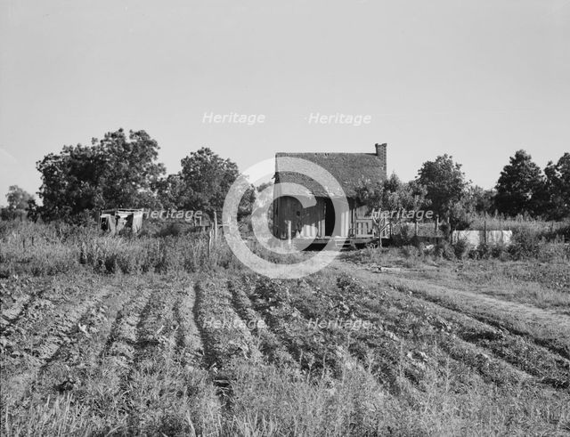 Home of Mississippi tenant farmer, 1937. Creator: Dorothea Lange.